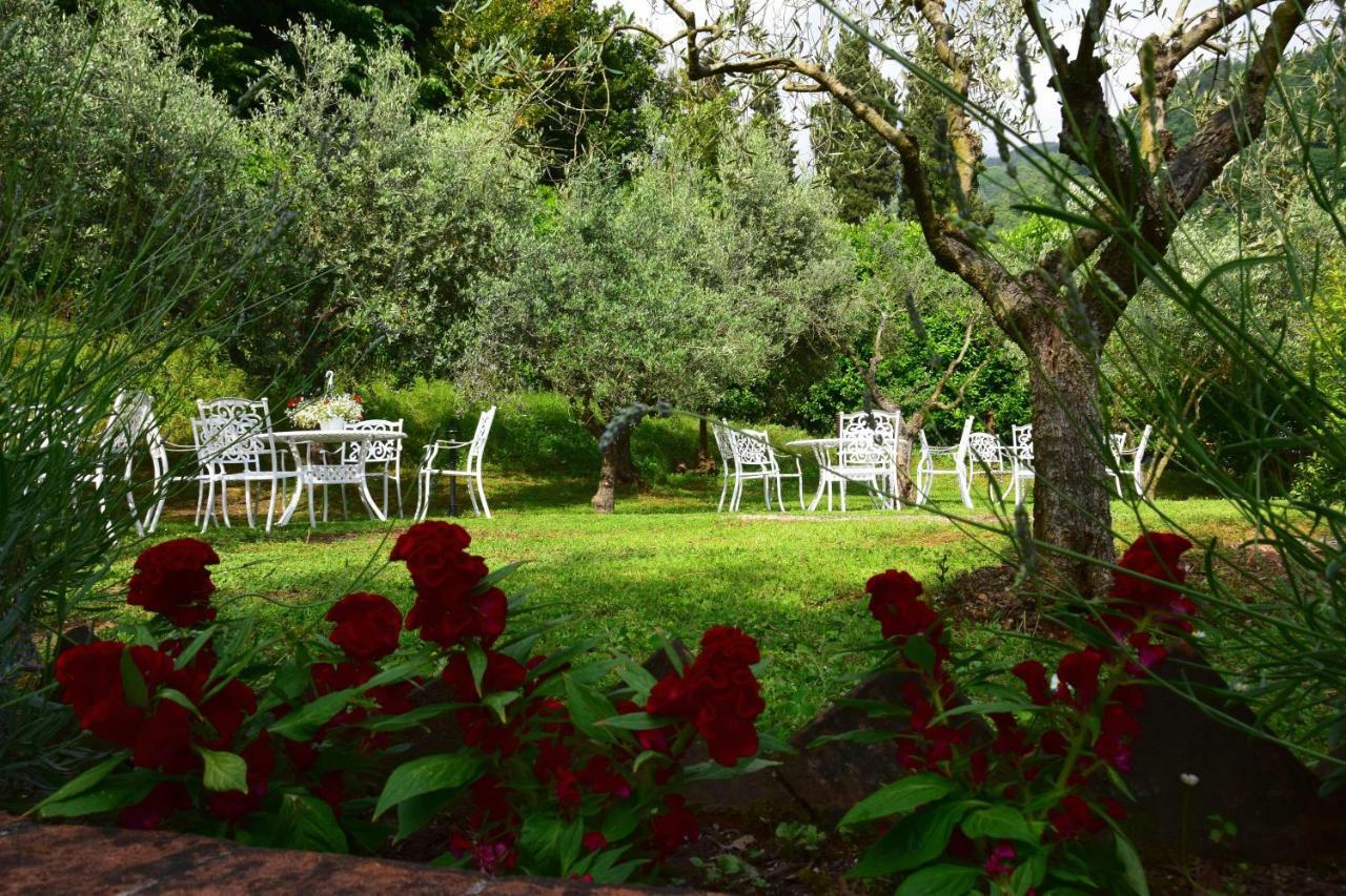 La Sosta In Toscana 카마이오레 외부 사진